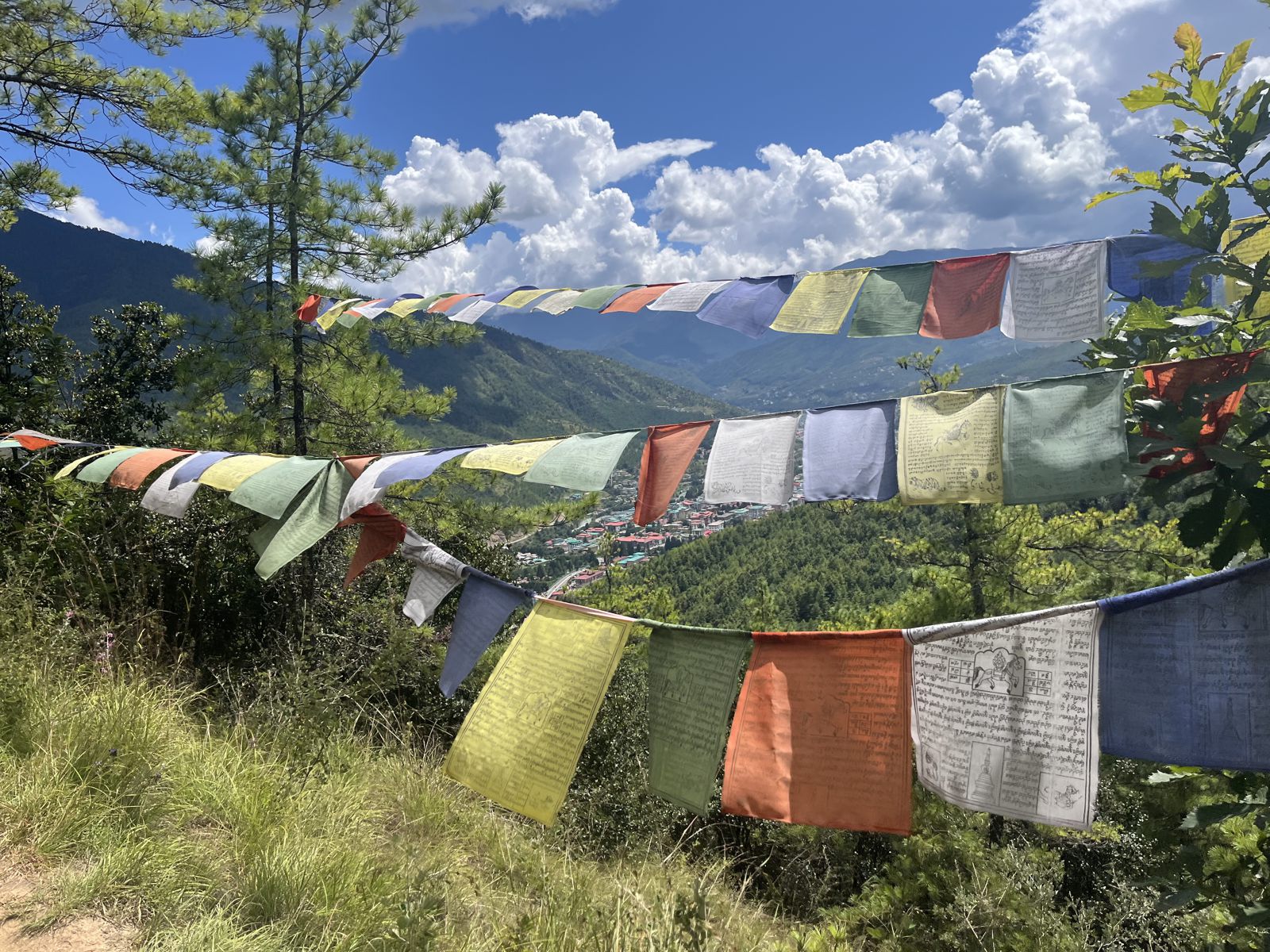Colourful prayer flags strung between trees above the Thimphu valley