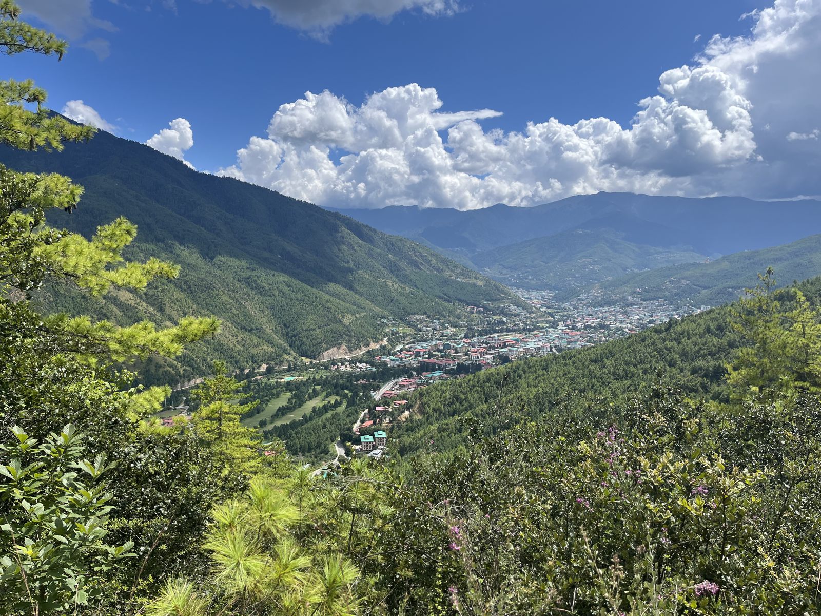 The Thimphu valley under a blue sky, forested mountains on every side